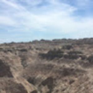 Meet your Posher, Bridget